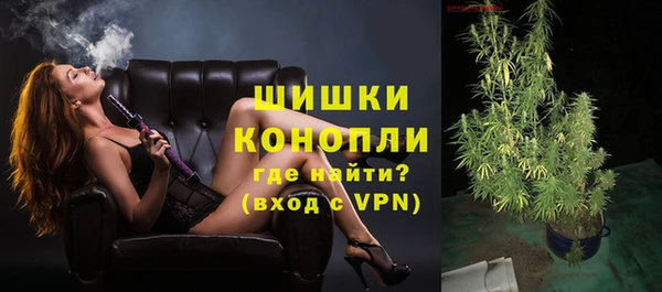 стафф Дмитровск