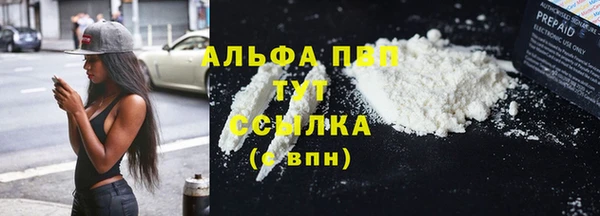 стафф Дмитровск