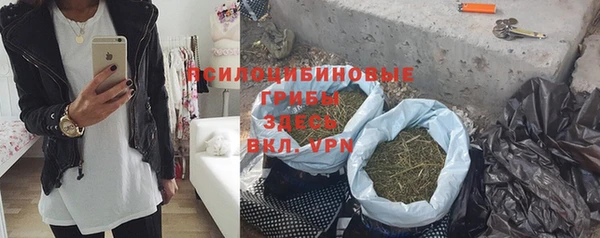 эйфоретик Дмитров