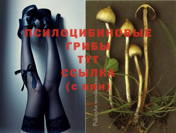 MESCALINE Дмитриев