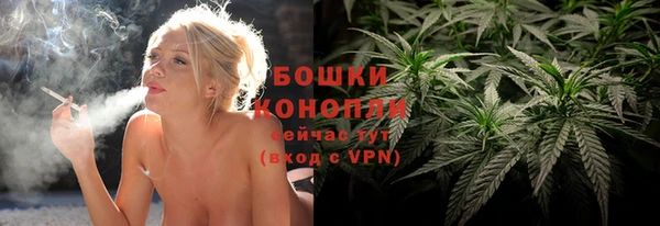 стафф Дмитровск