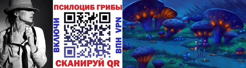 Галлюциногенные грибы Psilocybe  Купить закладки  Магас 